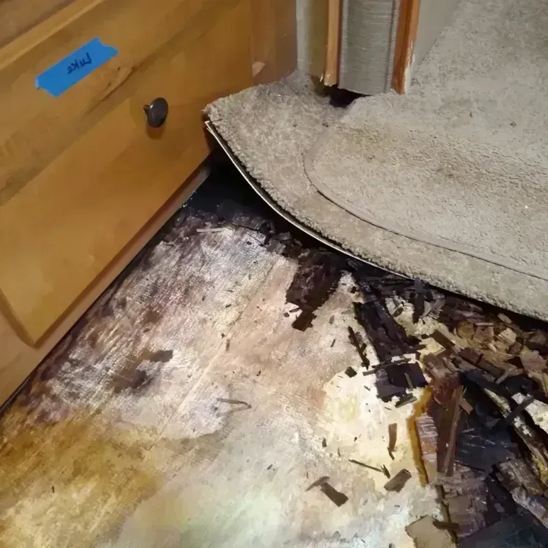 Best Wood Floor Water Damage Service in Alta Sierra, CA